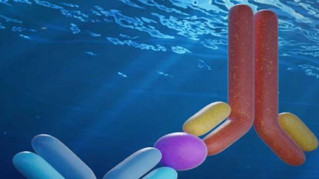 10 Best ELISA Practices and Techniques content piece image