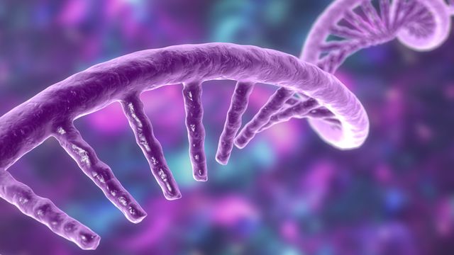 mRNA Development