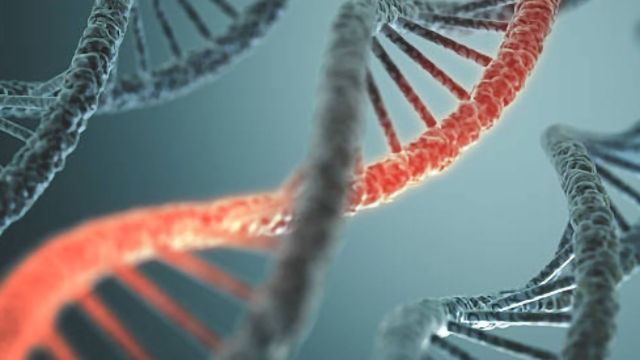 Accelerating mRNA-Based Therapy Development content piece image
