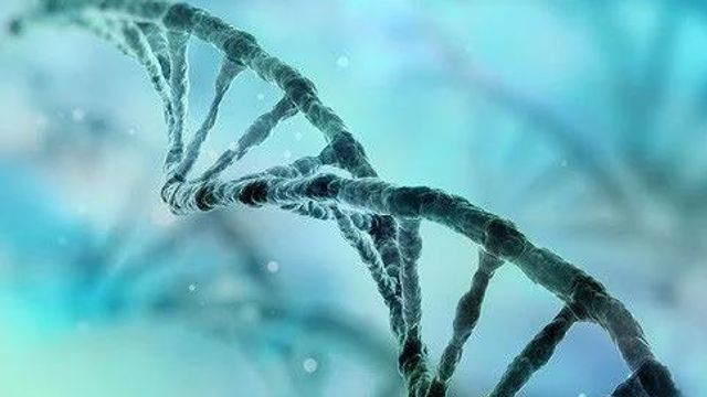Advance Your Work in Molecular Diagnostics content piece image