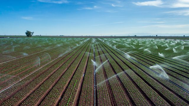 Blue skies, with crops being fertilized and watered