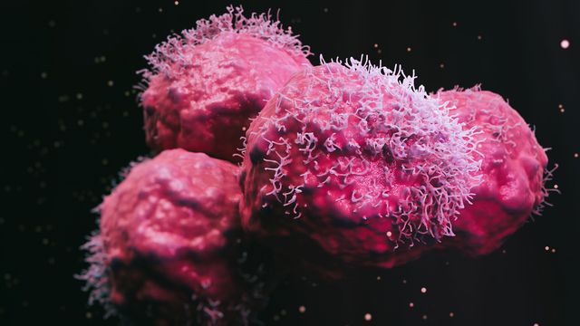 Cancer cells.