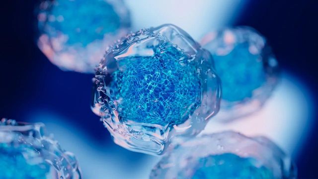 Cell Therapy