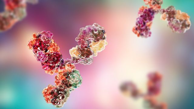 Advancing Monoclonal Antibody Stability Studies With Mass Photometry