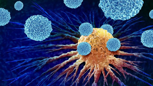 Cancer immunotherapy cells