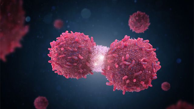 Cell Signaling in Cancer: Communicating Recent Advances content piece image