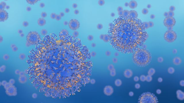 Antibody