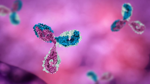 Antibodies.