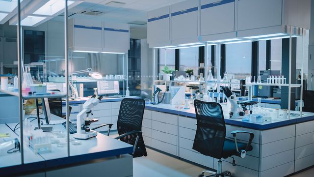 Lab