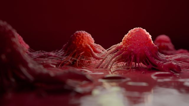 Cancer cells.