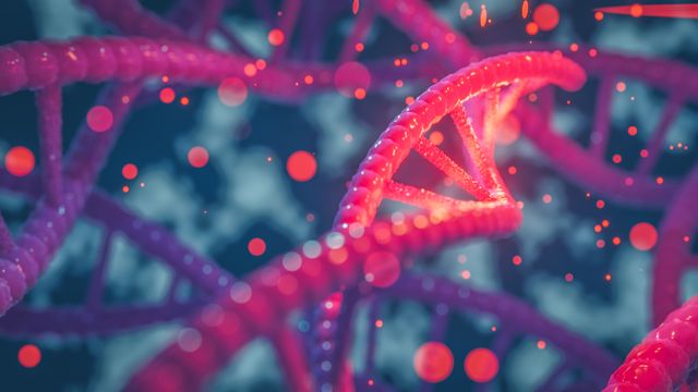 Double helix structure of DNA.