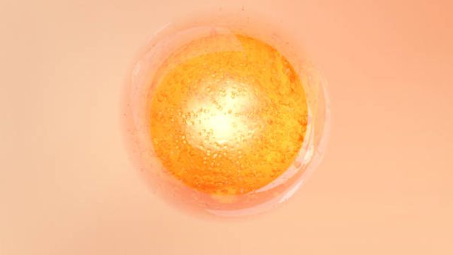 Expanding Practical Education With Brightfield Imaging-Enabled Flow Cytometry content piece image