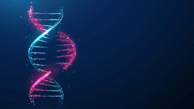 A section of RNA split from a DNA strand.