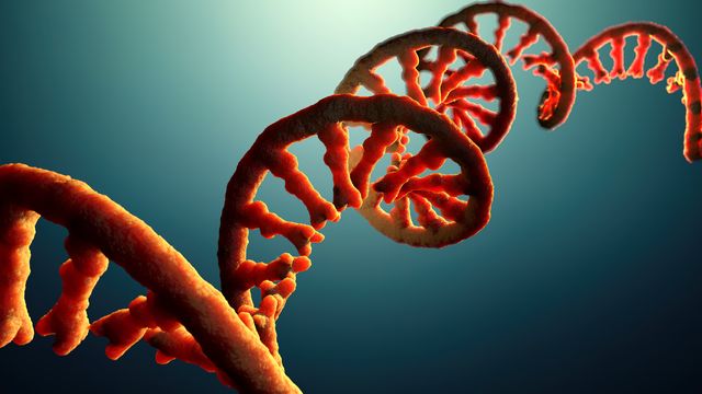 Strand of orange mRNA on a blue background.