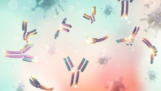 Antibodies.