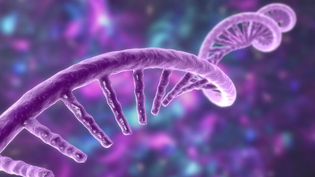 An RNA strand.