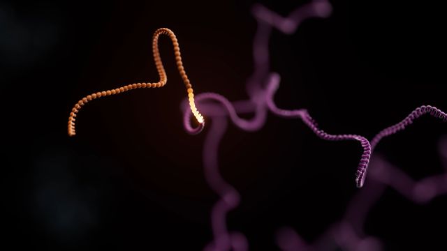 Nanopore Sequence Still