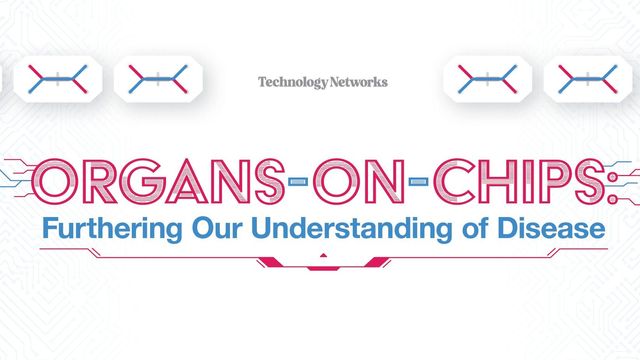 Organs on Chips: Furthering Our Understanding of Disease content piece image