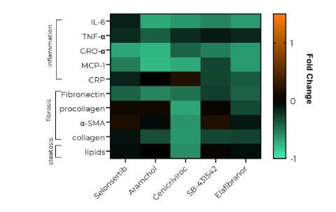 Figure 2: Efficacy screening of anti-MASH drugs using a panel of inflammatory, fibrosis and steatosis biomarkers using MPS. Credit: CN Bio. Efficacy screening of anti-MASH drugs using a panel of inflammatory, fibrosis and steatosis biomarkers using MPS.