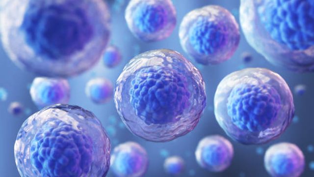 Precise Spatial Multiplexing of Immune Cell Diversity in Clinical Tumor Samples content piece image