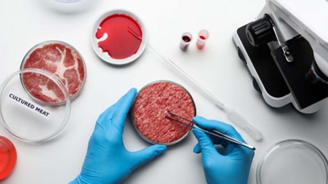 Cultured meat – a new era in food technology.