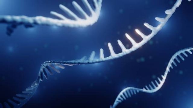 Genomic Sequencing