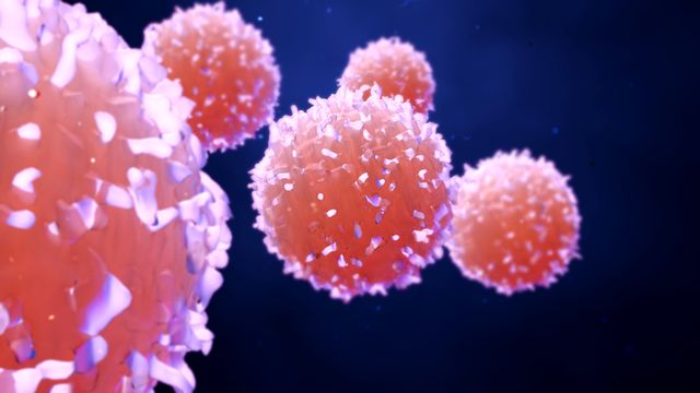 Cancer cells.