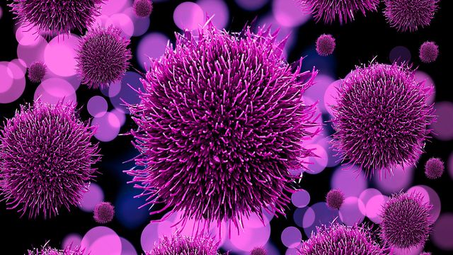 Virus particles