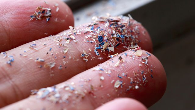 The Microplastic Emergency With Professor Éva Valsami-Jones content piece image