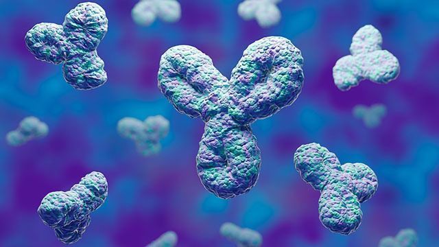 Therapeutic Antibody Engineering: Past, Present and Future content piece image