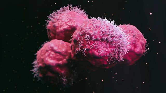 Understanding Cell-to-Cell Communication in Cancer
